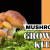 Mushroom Growing Kits – Do They Work?