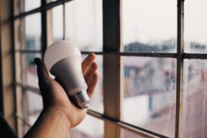 holding lightbulb