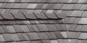 shingle roof