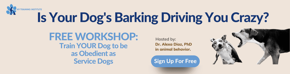 dog barking training